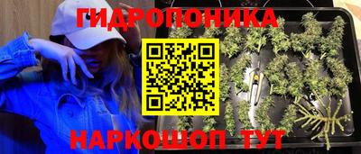 ALPHA-PVP Бийск