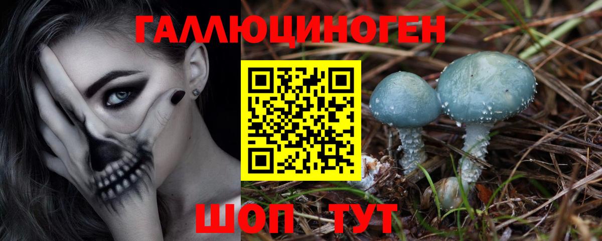 Йошкар-Ола  закладка  Псилоцибиновые грибы ЛСД  Вход с VPN  Псилоцибиновые грибы GOLDEN TEACHER 